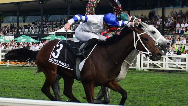 Kukeracha wins the Queensland Derby back in May. Photo: Grant Peters–Trackside Photography.