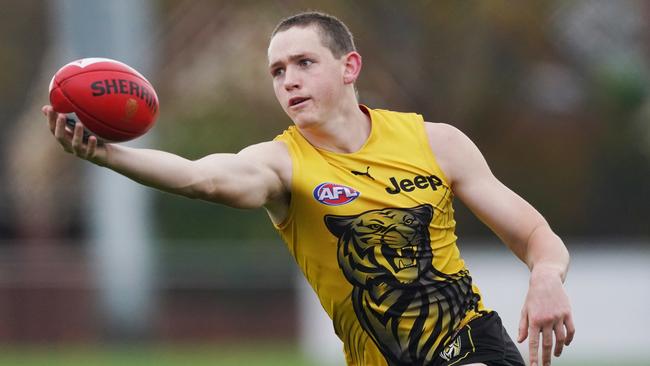 Is it finally time for Riley Collier-Dawkins at Punt Road? Picture: Michael Dodge