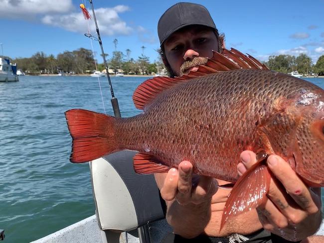 Beau Daniel Cleland Greaves (pictured at Noosa River) pleaded guilty on August 30 in Rockhampton District Court to one count of assault occasioning bodily harm and one of wilful damage.