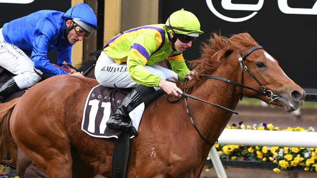 Jagar goes for a spell after winning at Flemington. Picture: Getty Images