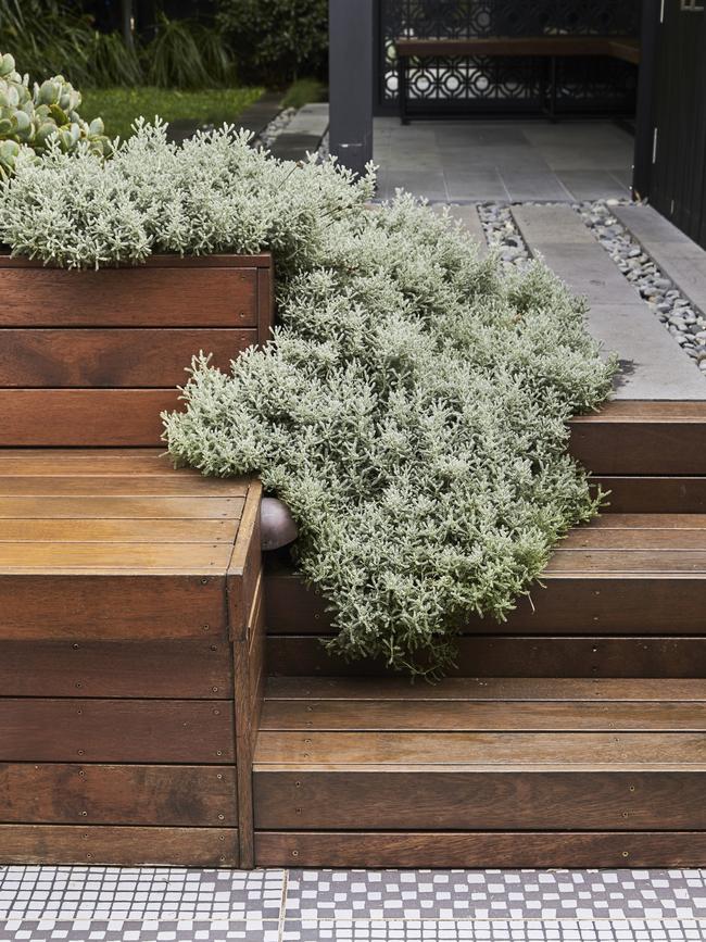 Xeriscaping uses drought tolerant plants to reduced water use. This garden was designed by Adam Robinson Design. Picture: Sue Stubbs