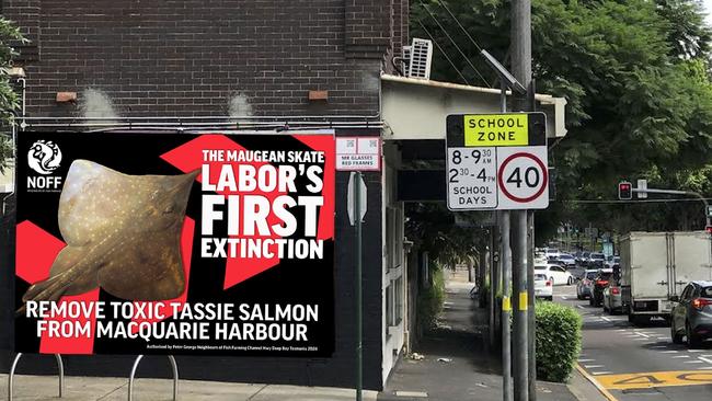 A billboard about Tasmania's Maugean skate will be erected by environmentalists outside federal environment minister Tanya Plibersek's office. Picture: Neighbours of Fish Farming