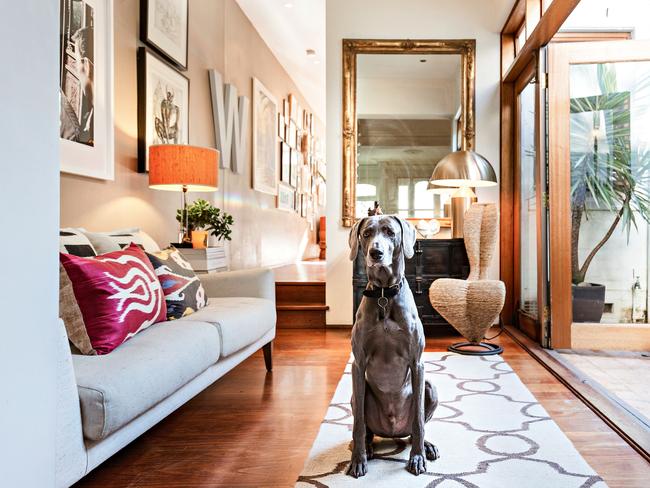 Everyone had an opinion on Neal Whitaker’s decor and choice. Including canines.