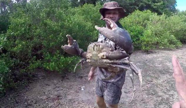 Man Dives Into Muddy Hole to Retrieve Enormous Crab in Most Australian Video You'll See Today. Credit - Beau Greaves via Storyful