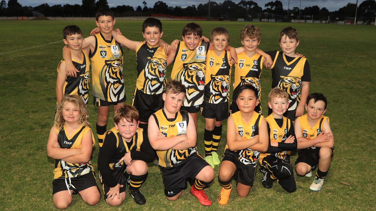 My First Club - Bannockburn u/9 teams Bannockburn u/9 TigersPicture: Mark Wilson