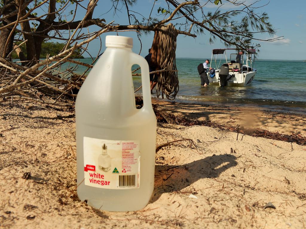 Vinegar helps remove any other tentacles from the box jellyfish victim. Picture Patrina Malone