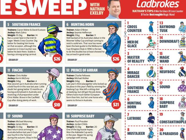 Snip of Melbourne Cup sweep 2019