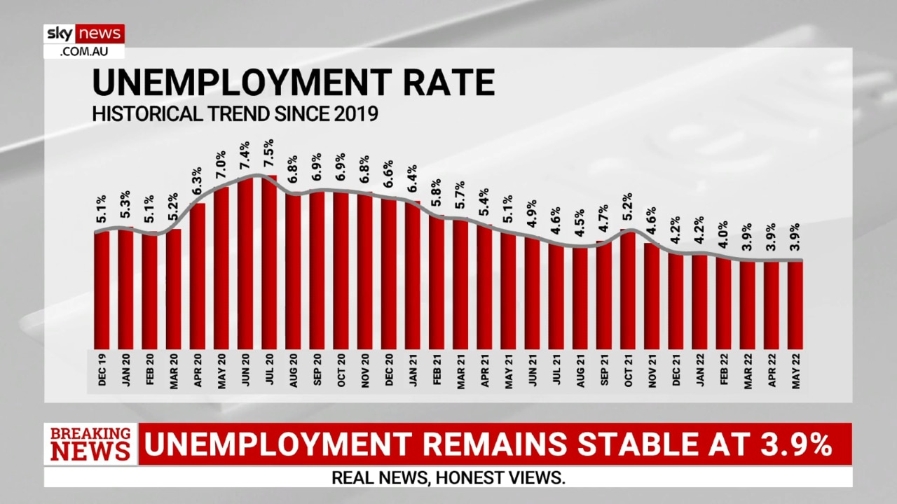 ANALYSIS Australia’s unemployment rate remains stable Sky News Australia