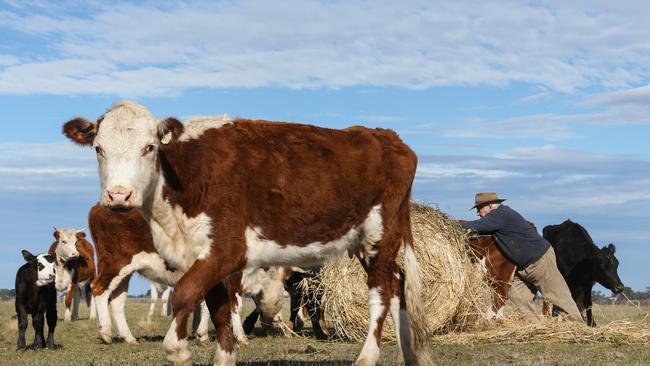 Community groups in drought-ravaged areas will share in $15 million to aid the fallout from severe lack of rainfall. Picture: Ian Currie