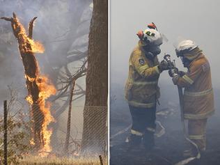 Rural fire service townsville