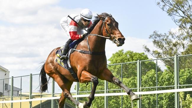 Fiddlers Green is one of Duff’s best bets at Rosehill. Picture: Bradley Photos