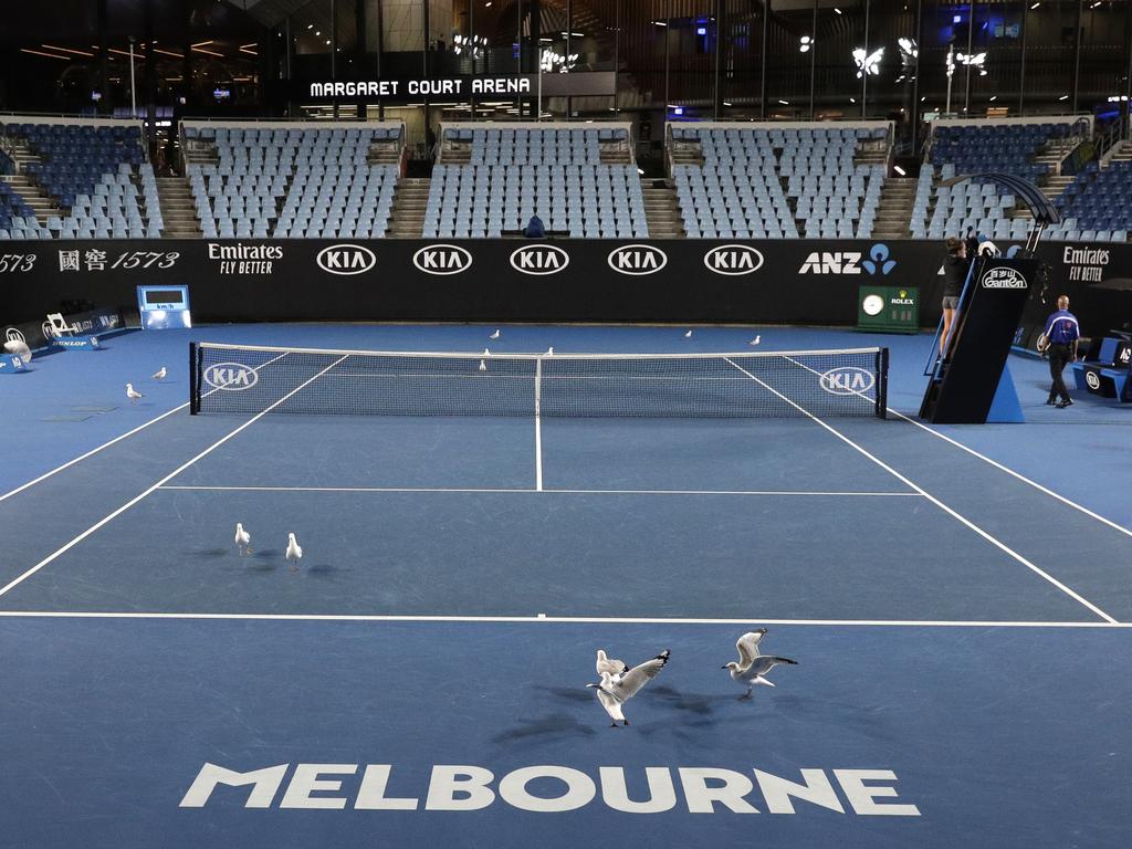 Australian Open: Seagull Poo Delayed Muguruza Vs. Konta Match