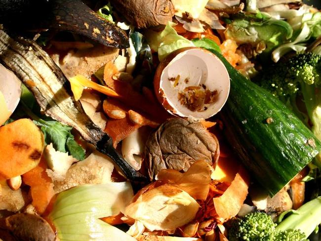 Glen Eira mayor Tony Athanasopoulos said the council aimed to divert up to 15,000 tonnes of food waste currently sent to landfill each year.