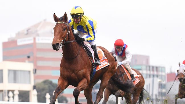 Mystery Shot joins stablemate Corner Pocket at The Valley. Picture: Racing Photos via Getty Images