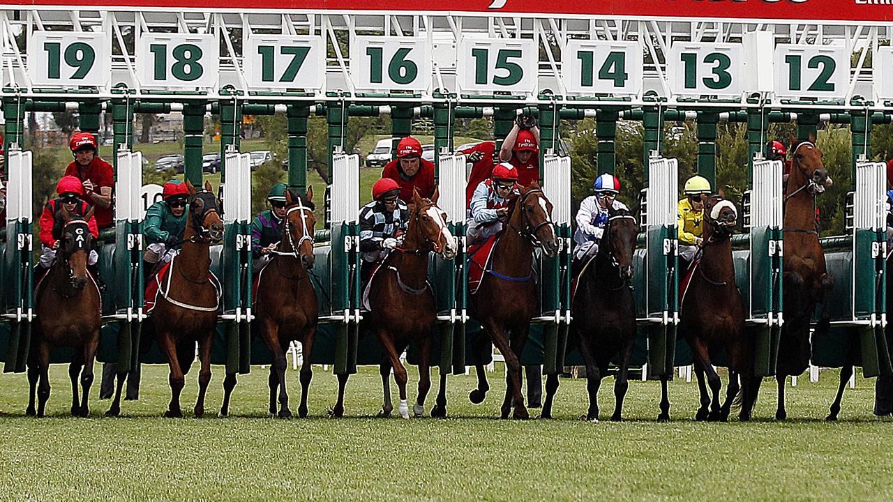 Who will fare well in the all-important Melbourne Cup barrier draw?