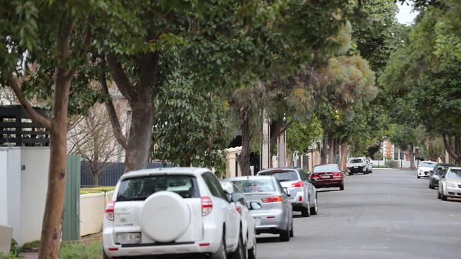 Leafy Olive St, Parkside, where the terrifying incident took place. Picture: Tait Schmaal.