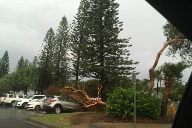 This car was hit by a tree during ferocious storms at Moffat Beach on the Sunshine Coast on Saturday.