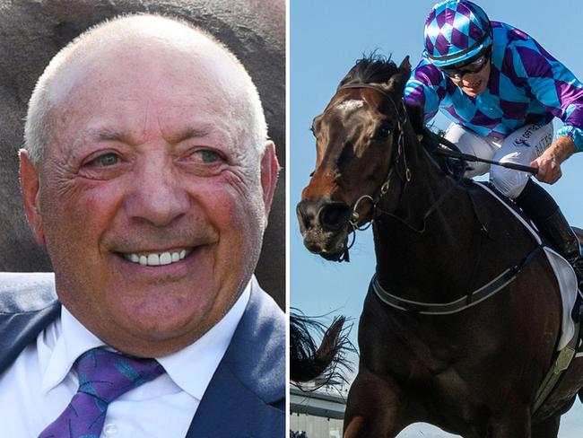 Owner Tony Ottobre (left) will leave the race programming for Pride Of Jenni up to trainer Ciaron Maher. Pictures: Racing Photos