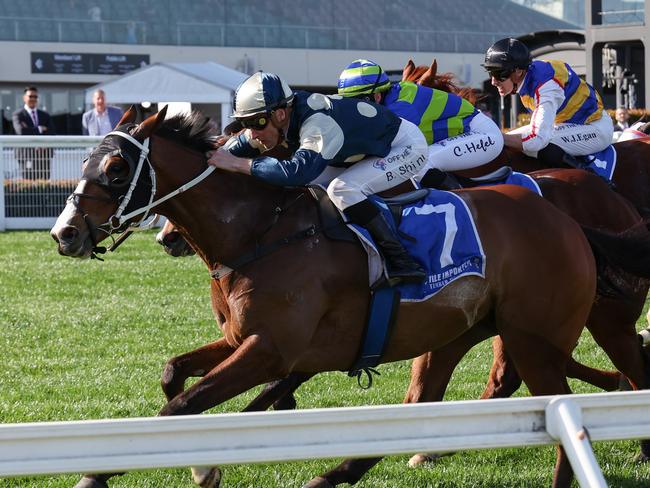 Soulcombe (GB) ridden by Blake Shinn wins the Tile Importer Heatherlie Stakes at Caulfield Racecourse on September 02, 2023 in Caulfield, Australia. (Photo by George Sal/Racing Photos via Getty Images)