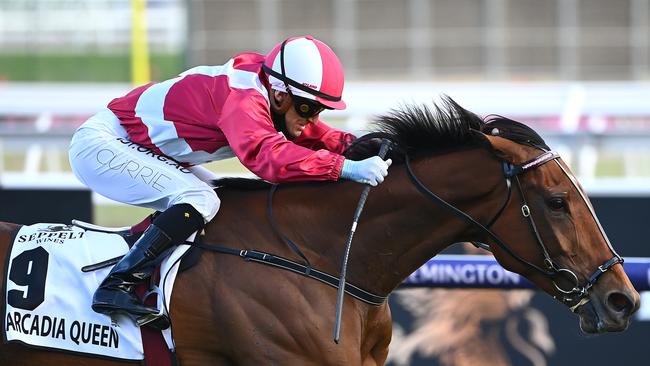 Arcadia Queen is well-versed in running anticlockwise, which will be an advantage at Moonee Valley. Picture: Quinn Rooney, Getty Images