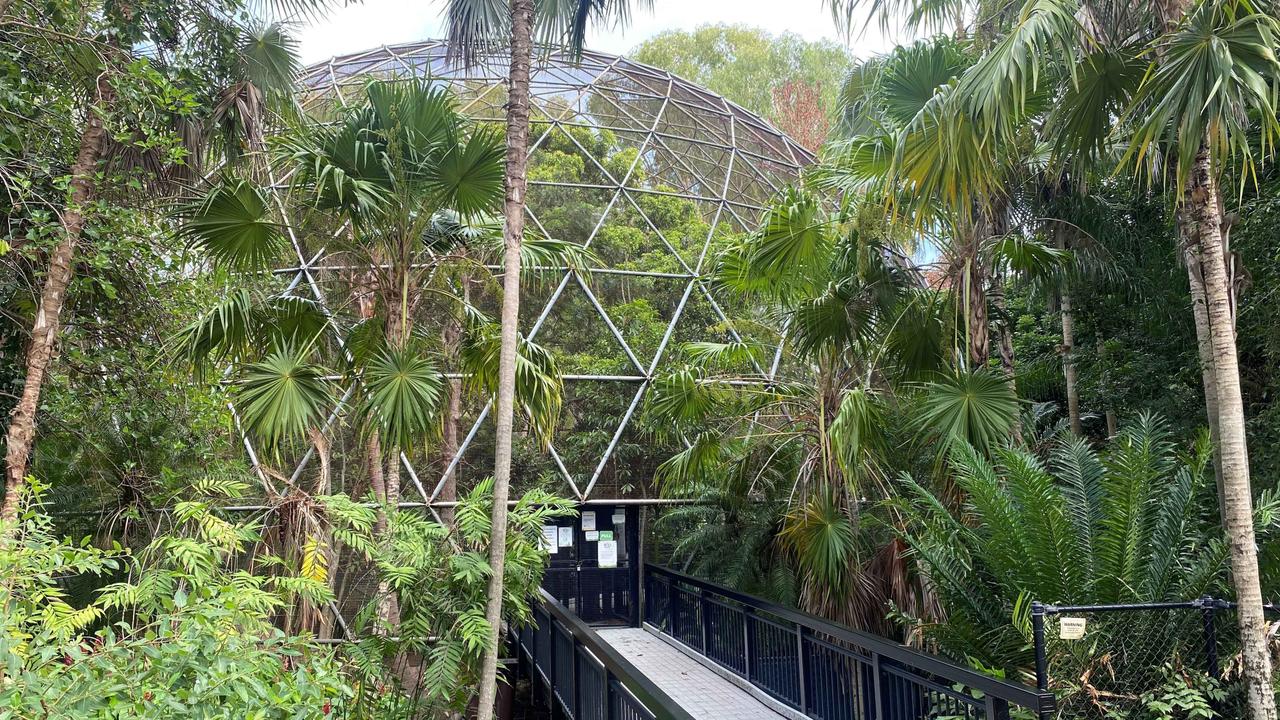 Birds in Rockhampton Zoo to be euthanised after testing positive for