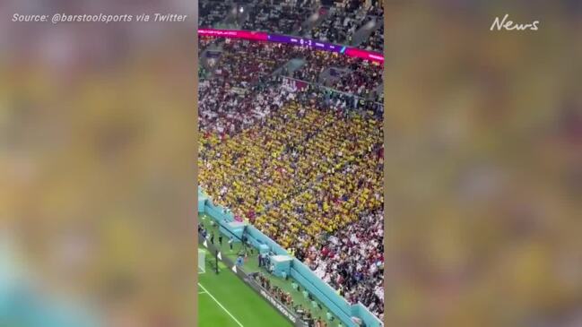 'We want beer': Fans brutally mock Qatar in World Cup opener