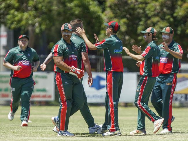 Pines players celebrate a wicket last season.