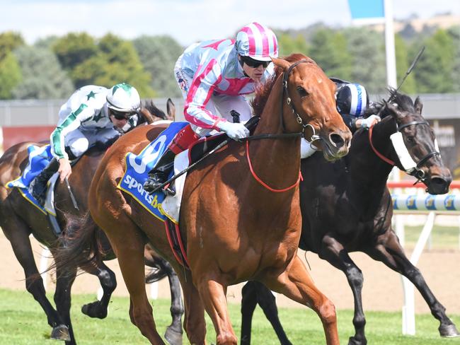 Mrs Chrissie (NZ) ridden by Craig Williams wins the Ballarat Volkswagen Tonks Plate at Sportsbet-Ballarat Racecourse on December 07, 2024 in Ballarat, Australia. (Photo by Brett Holburt/Racing Photos via Getty Images)