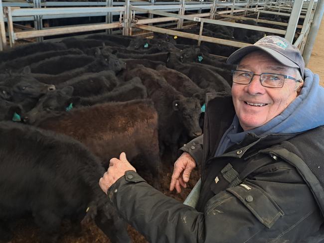 Angus McKinnon was a major vendor at the Wodonga store cattle sale.