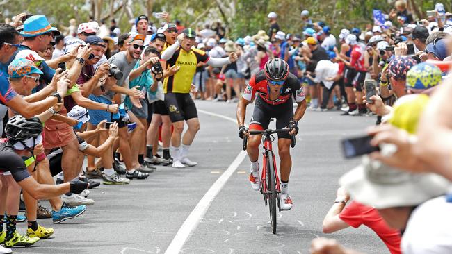 Fans cheer on the Richie Porte on to victory during the Subaru King of the Mountain. Picture: Tom Huntley