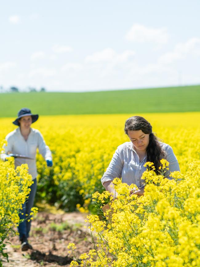 Loam Bio co-founder Tegan Nock with field trials manager Brooke Bruning.