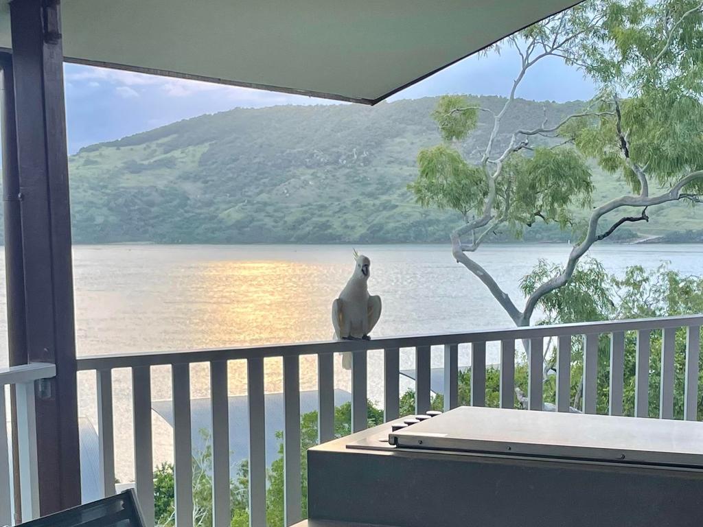 Mardi Seccombe’s view at Hamilton Island this week.