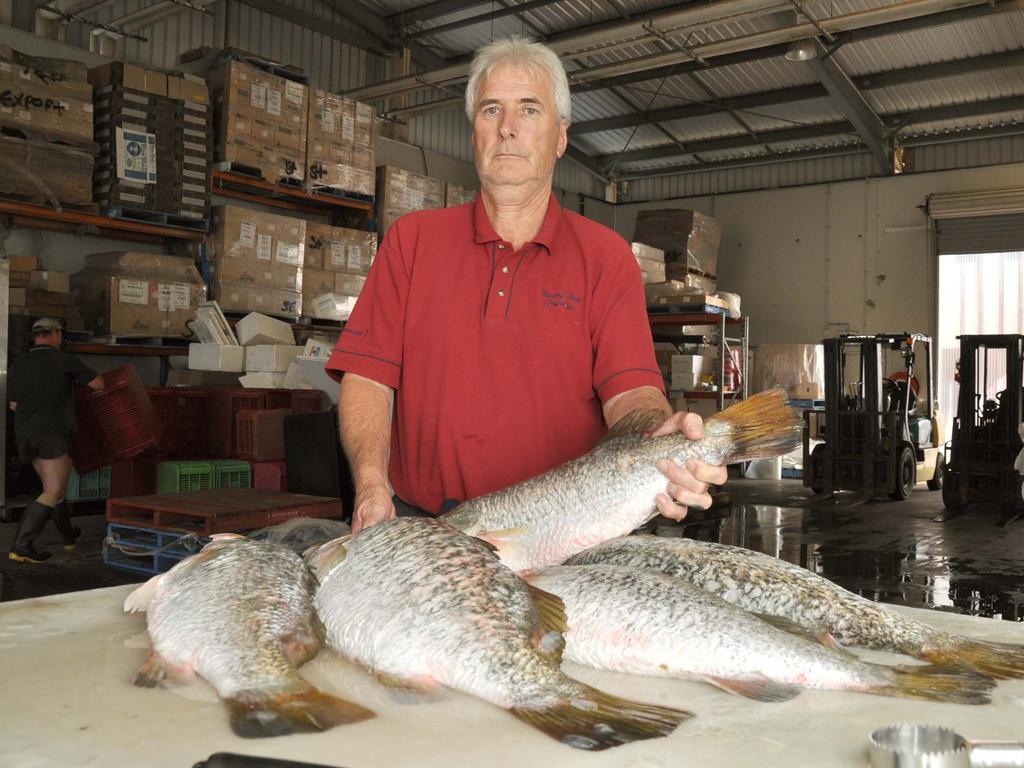 The managing director of Gladstone Fishmarkets, Ted Whittingham photographed for a story regarding the state government's handling of the possible ban on Gladstone Harbour fishing. Photo: Murray Ware