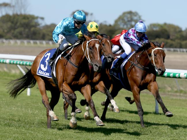 Diamonds Are (3), ridden by Sophie Logan, wins the Kangaroo Island Cup on Saturday. Picture: Kelly Barnes