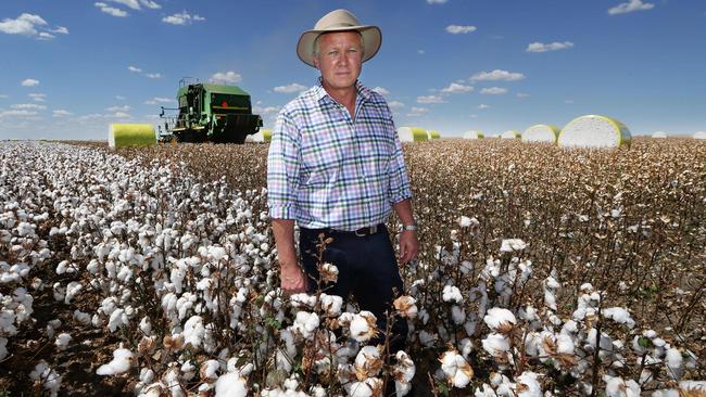 Top crop: Cubbie Station chief executive Paul Brimblecombe.