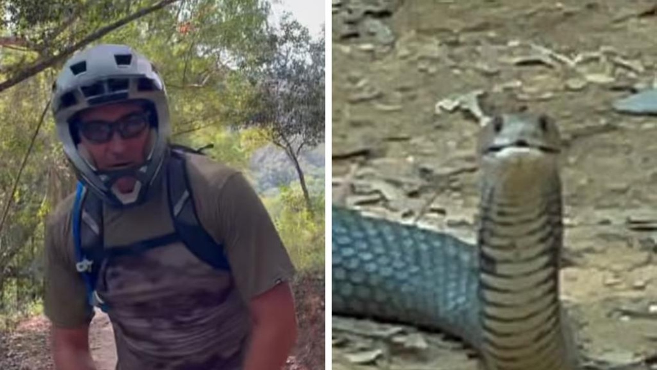 A surfing legend has shared his nail-biting brush with a monster, metres-long brown snake. Picture: Instagram