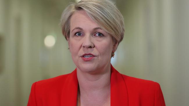 Deputy Opposition Leader Tanya Plibersek appeared to be at odds this week with Mr Shorten over Christmas Island. Picture: Kym Smith