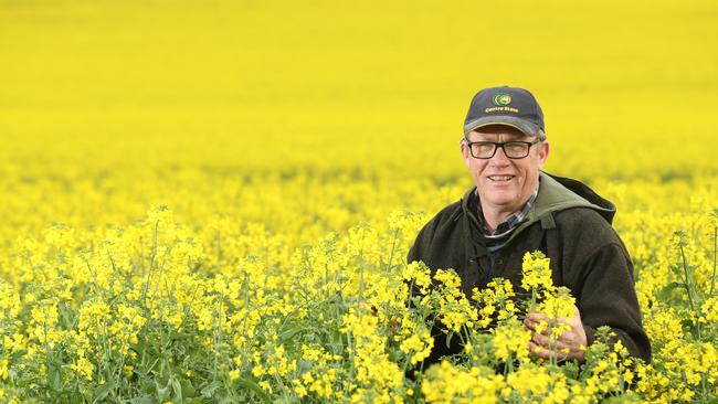 Riverton farmer Steve Ball in one of his canola crops. Picture: Tait Schmaal.