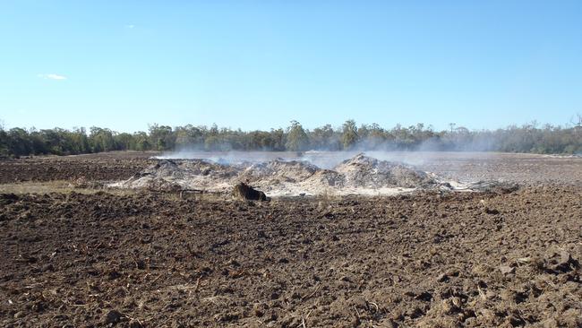 A pastoral company has been fined $18,000 in the Dalby Magistrates Court after illegally clearing land in the Kumbarilla State Forest, southwest of Dalby. Picture: DES