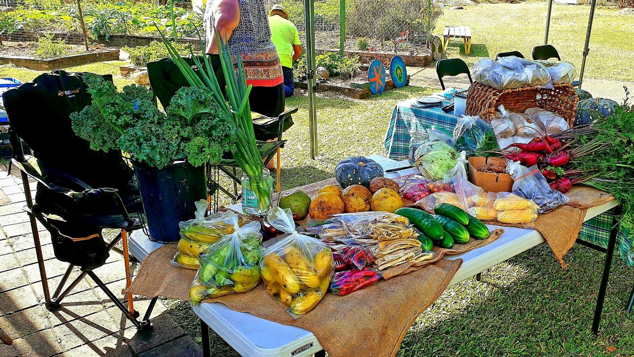 Produce grown by the Moody Creek Micro-Farm Cooperative at the Manoora Community Garden. Picture: Catherine Coombs.