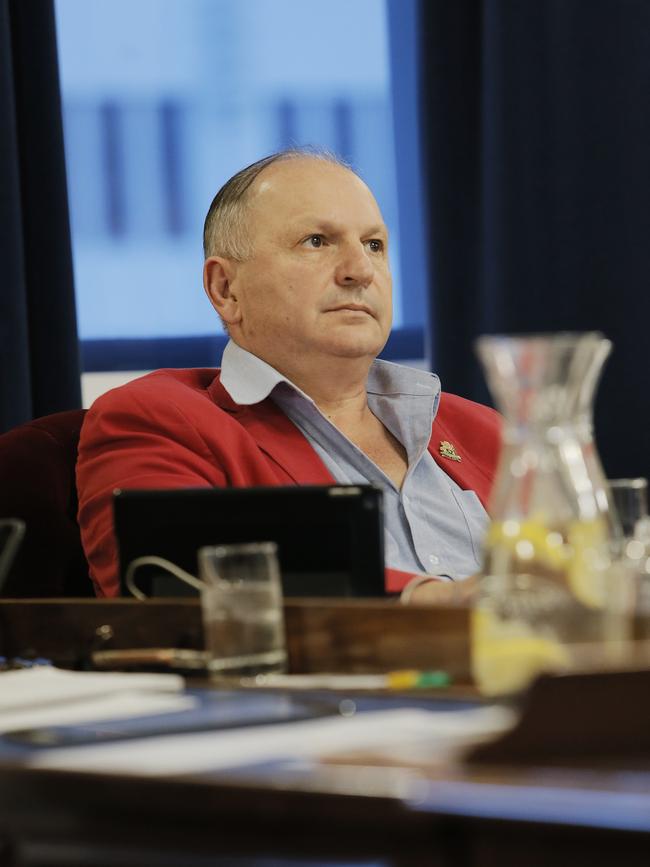 Alderman Marti Zucco at a Hobart City Council meeting. Picture: MATHEW FARRELL