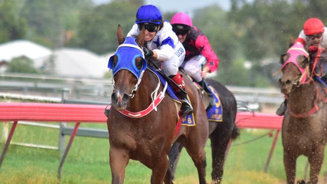 Racing marvel Fab’s Cowboy notched up win number 53 on Saturday. Photo: Marguerite Cuddihy.