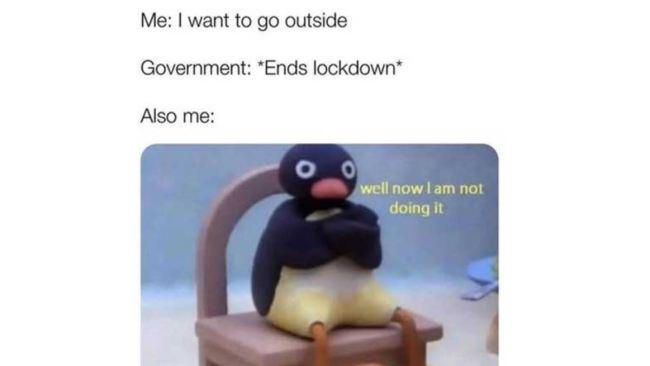 Memes that sum up what the end of lockdown feels like | escape.com.au