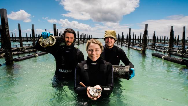 Alizee Milles, centre, with Martin Nivelle and Simon Le Treust from France, working on oyster lease for Brendan Guidera at Pristine Oysters, Coffin Bay. Picture: Robert Lang