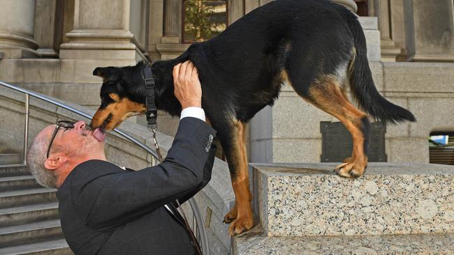 Mawson MP Leon Bignell with his Australian kelpie Dusty in front of Parliament House.