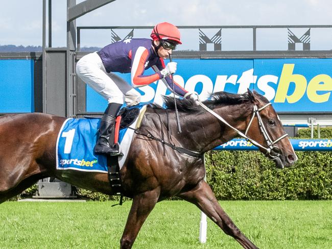 Air Assault hits the line to win the John Letts Cup at Morphettville on Melbourne Cup Day. Picture: Racing SA