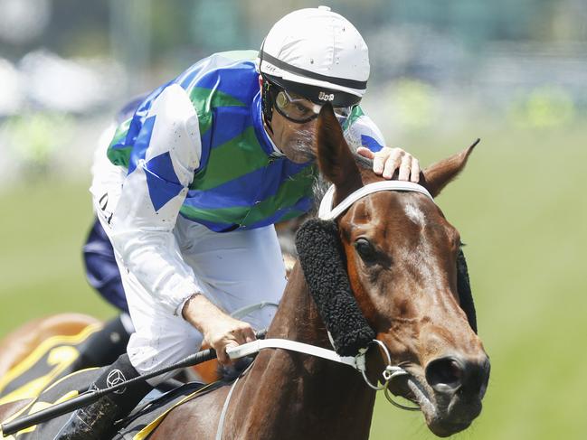 Dwayne Dunn rides Garner to victory in the Schweppervescence Plate during 2019 Melbourne Cup Day at Flemington. Picture: Daniel Pockett/Getty