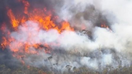 Residents living near Victoria's Grampians National Park told to 'leave immediately’ as massive bushfire spreads. Picture: Sky News