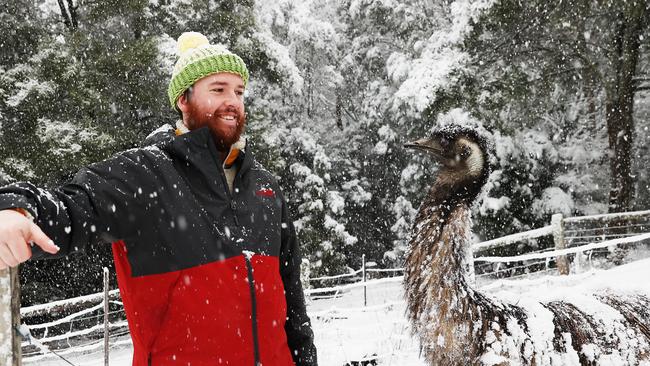 Elliot McLaine of Kaoota enjoys the snow with emu called Chook Chook. Picture: Zak Simmonds