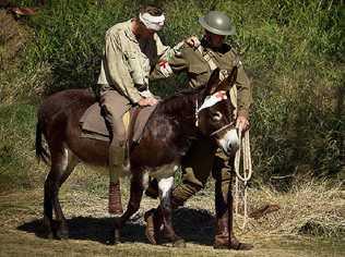 Simpson and his donkey will be a part of the re-enactment at Emu Gully. Picture: Contributed